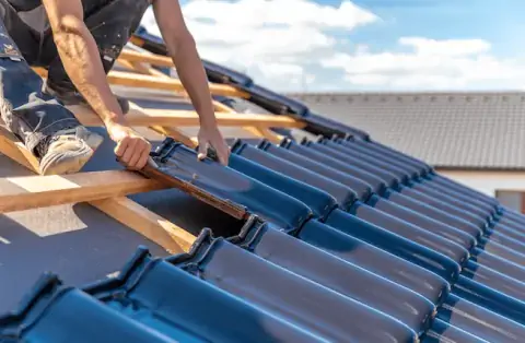 Couverture - Warluis